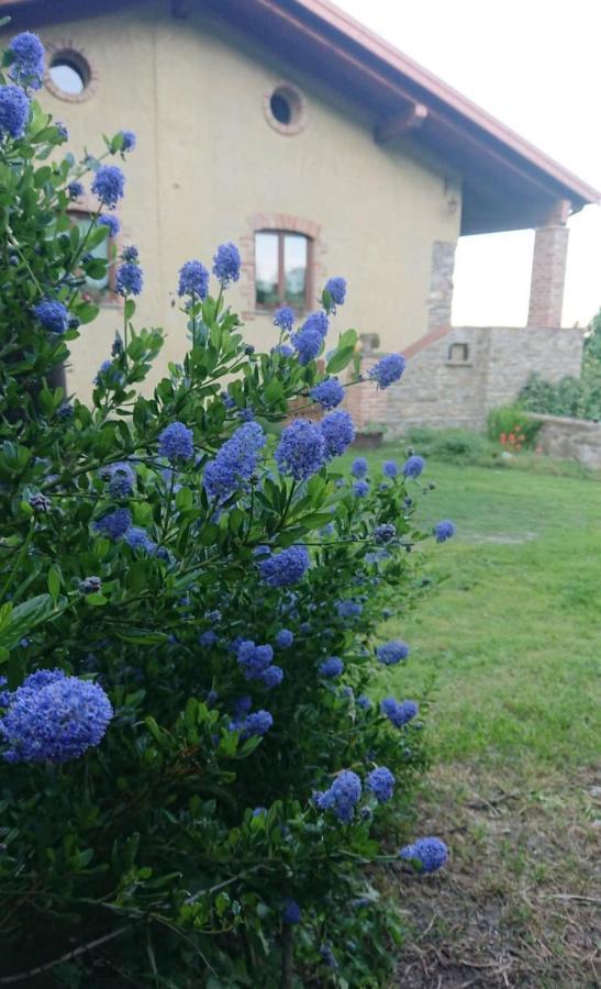 B&B La Casa Dei Cuori Millesimo Dış mekan fotoğraf