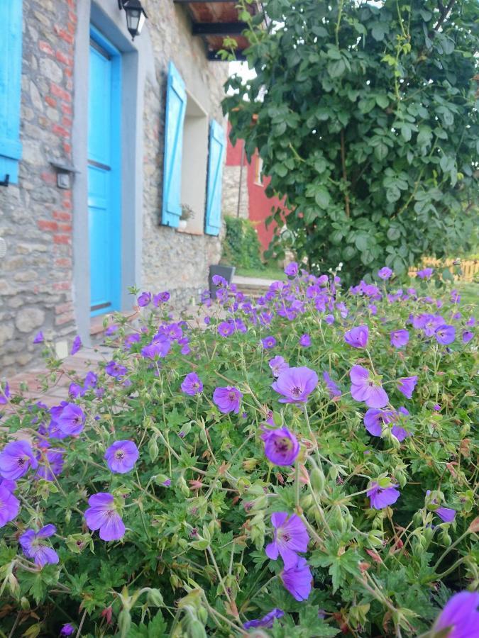 B&B La Casa Dei Cuori Millesimo Dış mekan fotoğraf