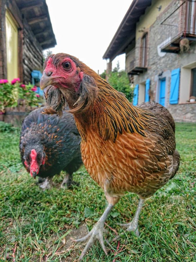 B&B La Casa Dei Cuori Millesimo Dış mekan fotoğraf